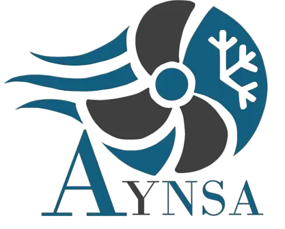 AYNSA